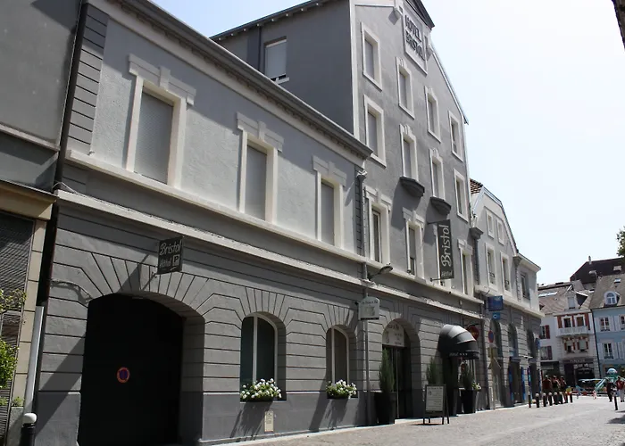 Hôtel accueillant les animaux: Brit Hotel Bristol Montbéliard Centre